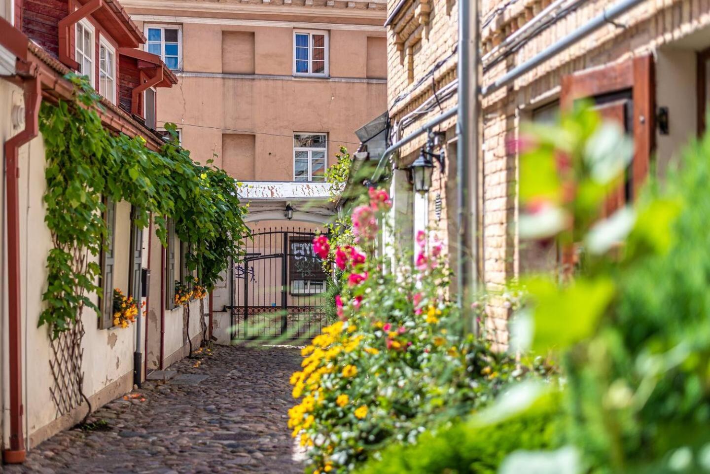 Oldtown #d * Vilnius