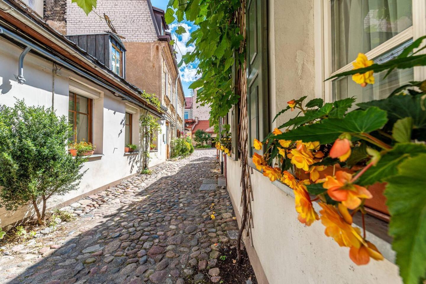 Oldtown #d